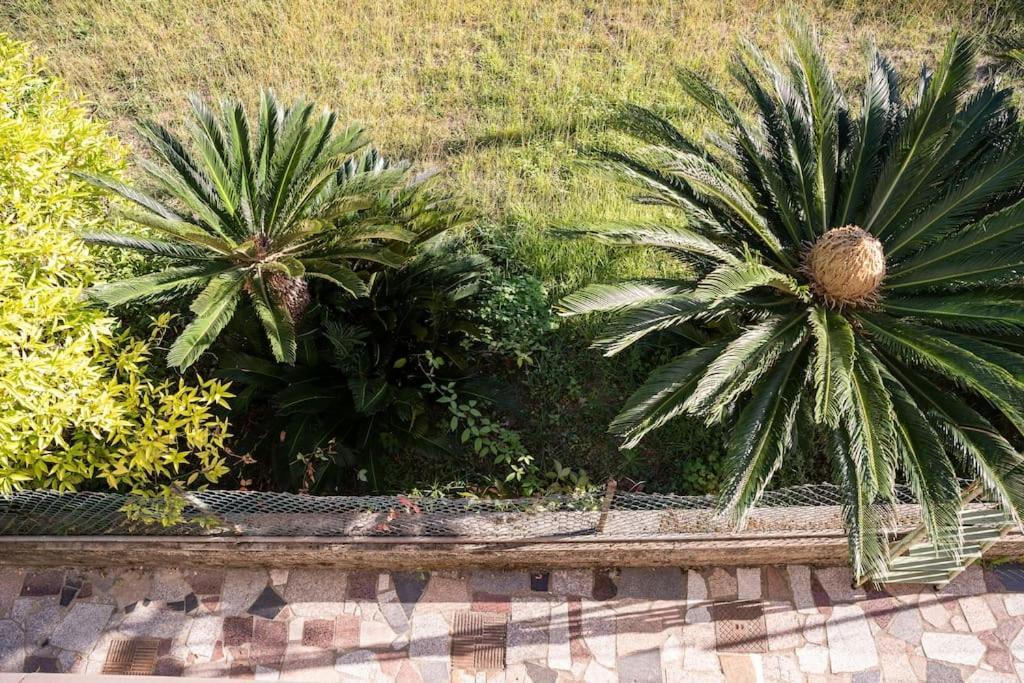 Apartamento Art Of Living 100 Meters From The Sea. Marina di Pietrasanta Exterior foto